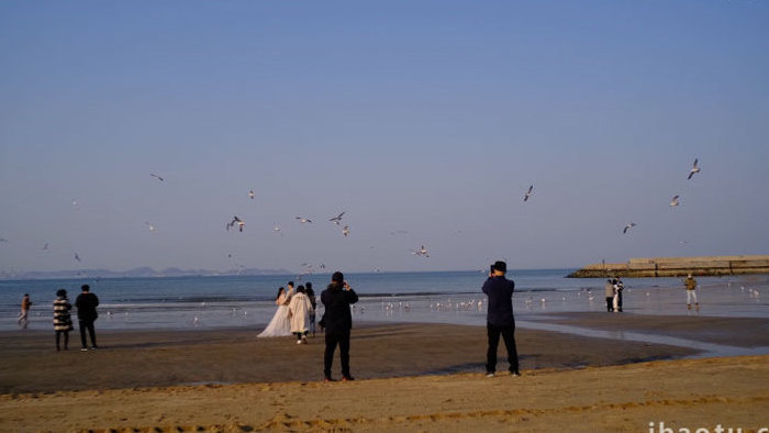 沙滩婚礼人与自然海鸥飞翔自然海洋实拍