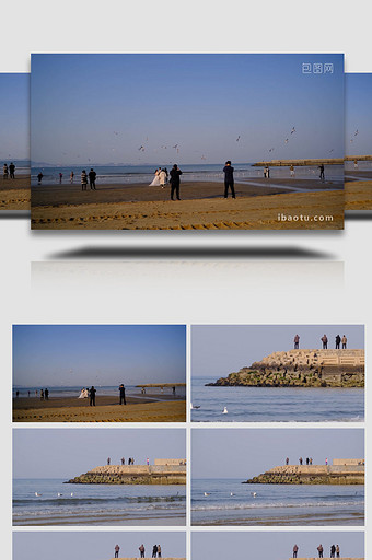 沙滩婚礼人与自然海鸥飞翔自然海洋实拍图片