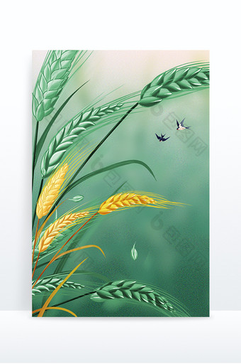 绿色小麦稻穗小满节气宣传背景图片