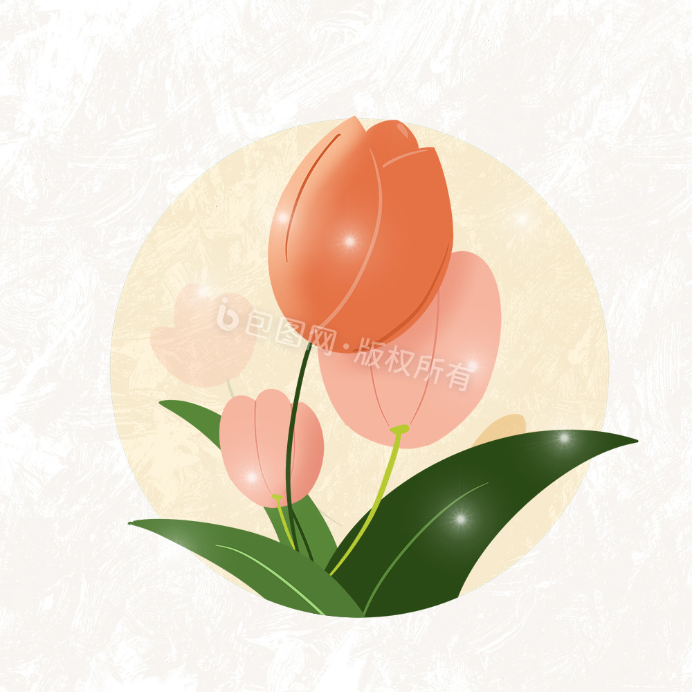 花朵郁金香动图GIF图片