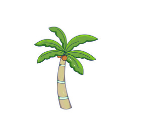 夏天里的海滩椰子树