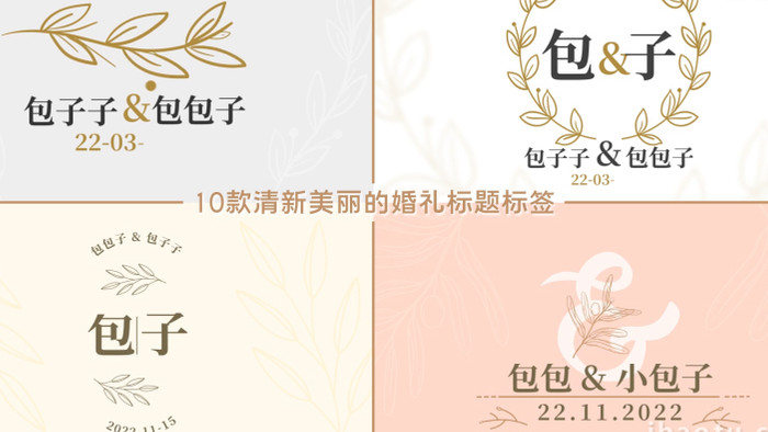 10款清新字幕条婚礼标题标签动画AE模板