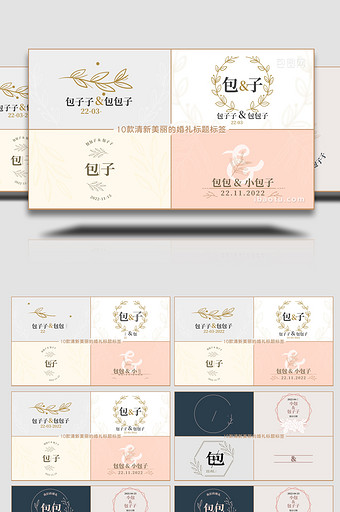 10款清新字幕条婚礼标题标签动画AE模板图片