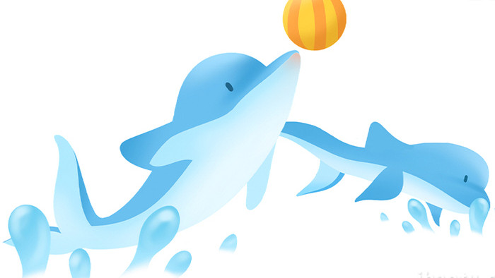 易用卡通mg动画海洋类海豚表演