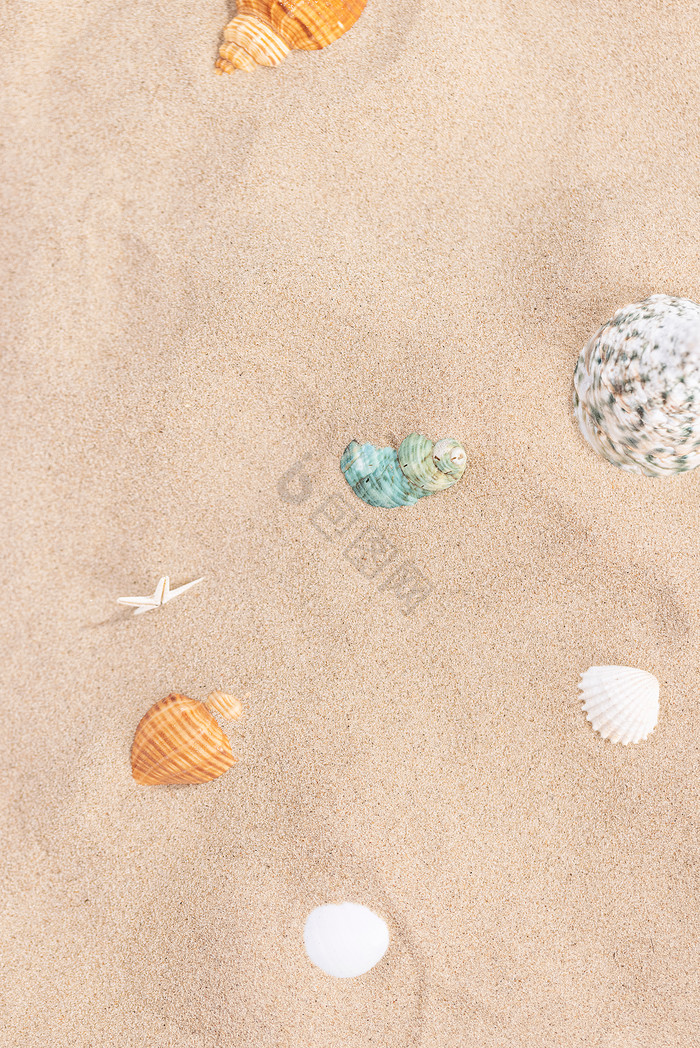 夏日沙滩贝壳创意海报图片