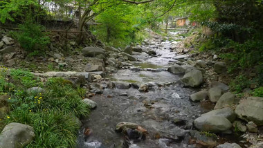 春季山间泉水潺潺流动实拍素材