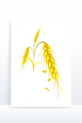 写实手绘黄麦穗元素图片