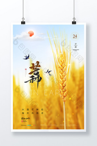 简约大气黄金麦子芒种节气海报图片