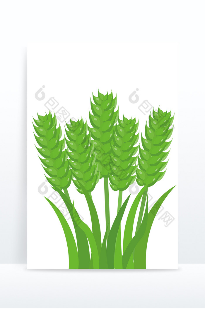 小麦麦穗图片图片