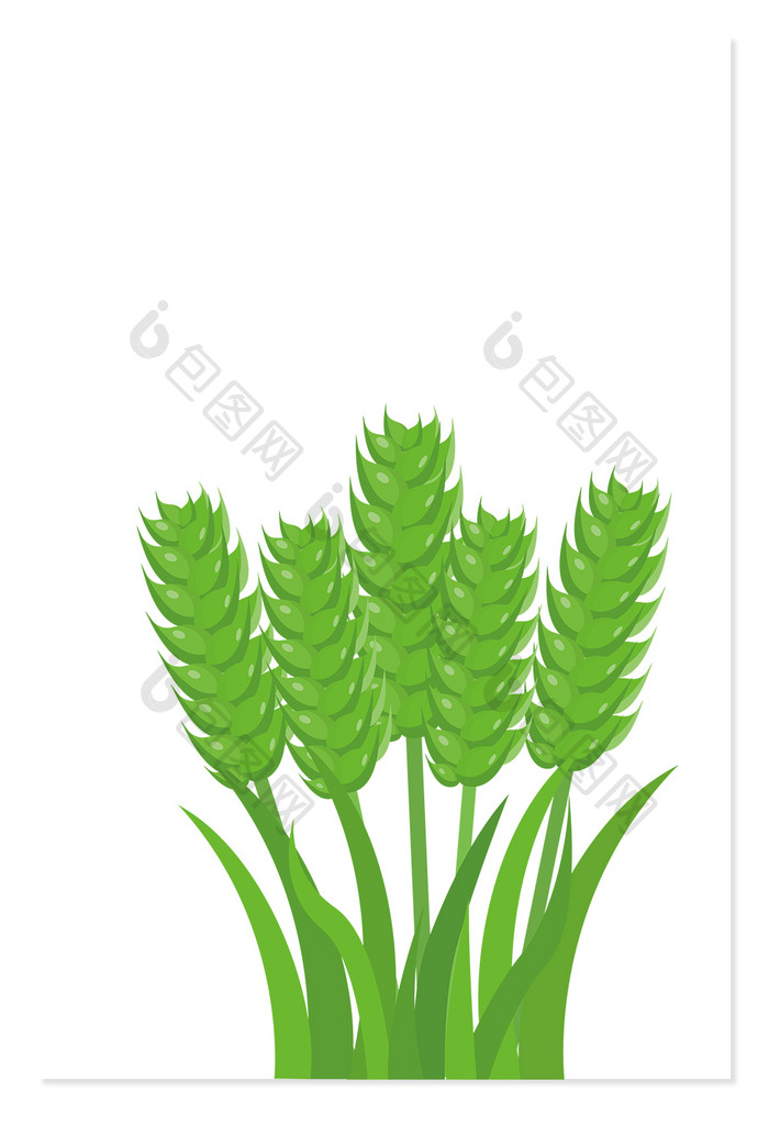 绿色小麦麦穗矢量元素
