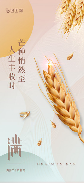极简意境二十四节气芒种小麦丰收手机配图