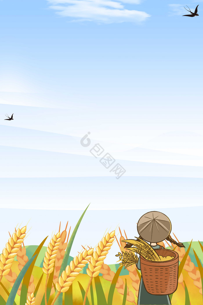 芒种麦穗稻草人图片