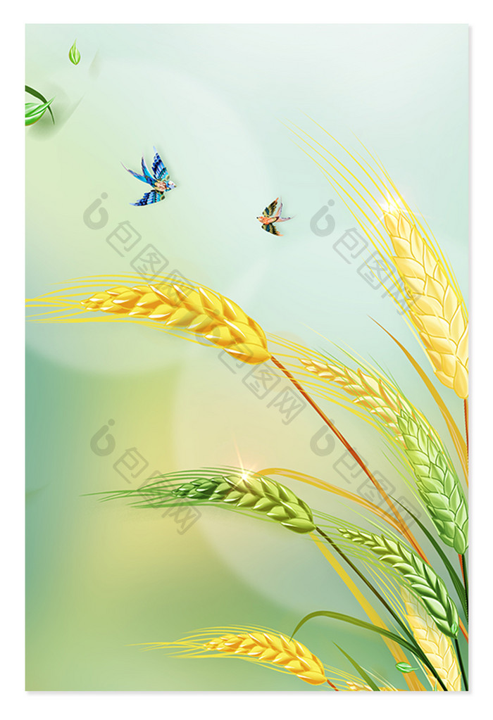 芒种节气宣传小麦麦穗背景