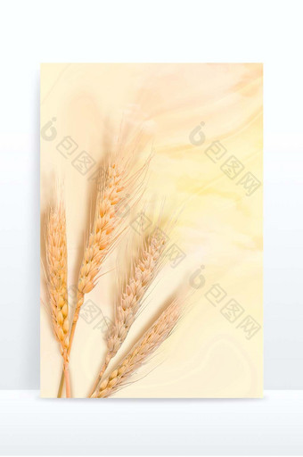 麦穗合成芒种大气简约背景图片