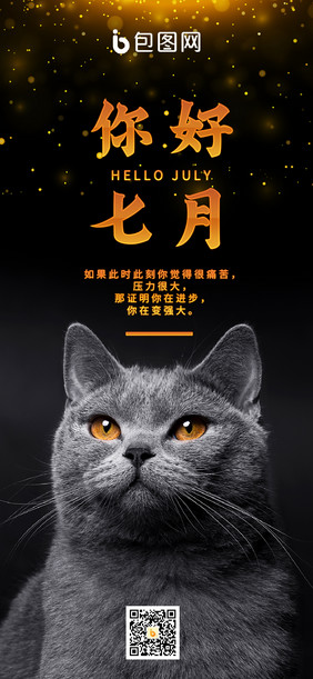 日签月签七月你好励志奋斗蓝猫萌宠类