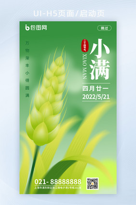 简约风小满启动页24节气海报H5页面