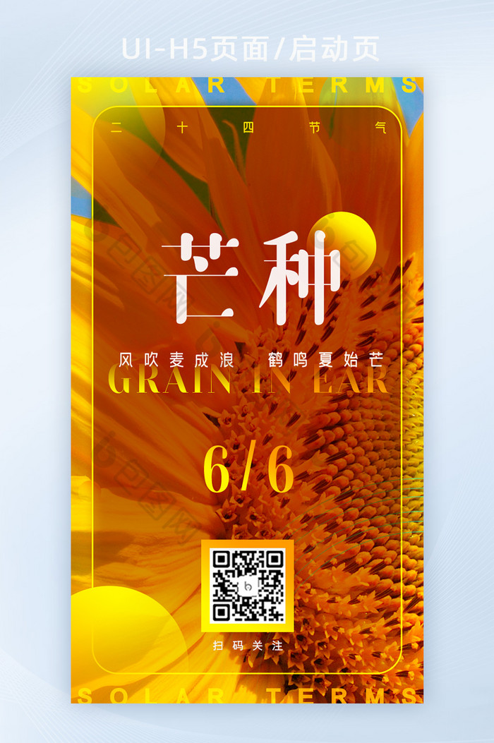 芒种H5芒种启动页24节气图片