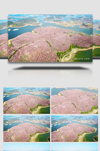 唯美贵州平坝樱花园绝美花海4K航拍图片