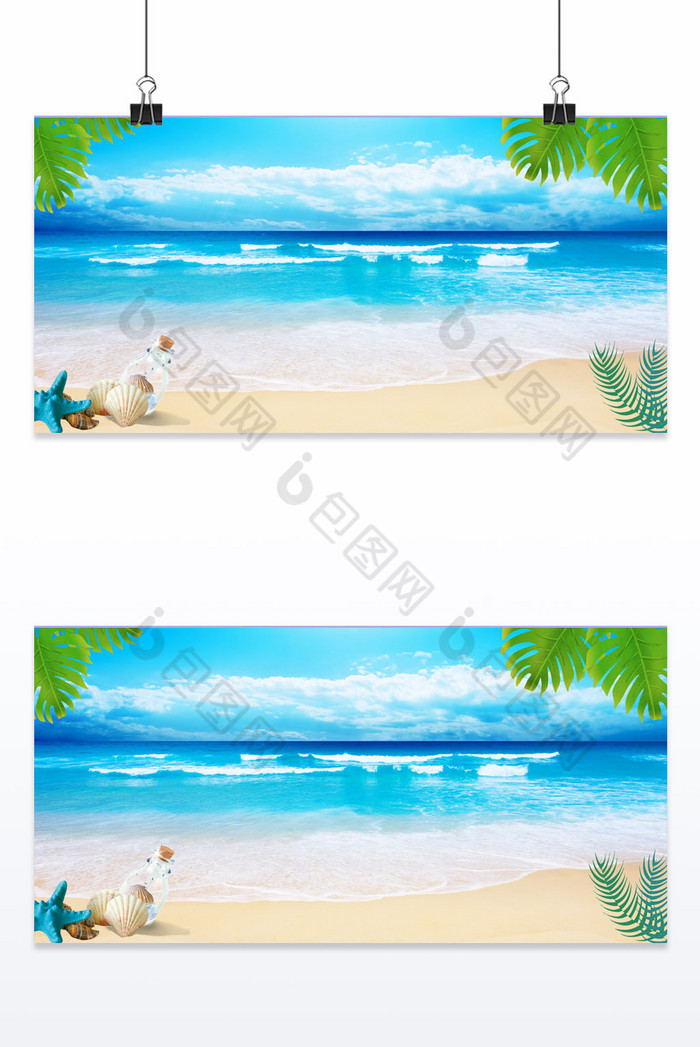 夏日海滩树叶贝壳电商图片图片