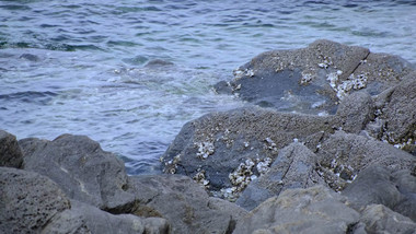 海边礁石海浪大海海水自然海洋实拍