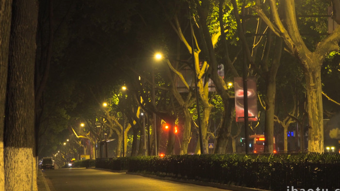孤独氛围城市街道夜景梧桐树4K实拍