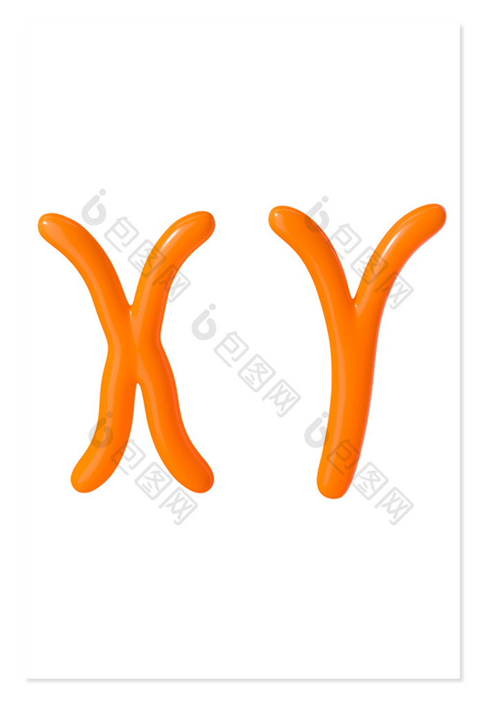 XY染色体生物研究生物医疗生物科学
