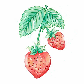 国风水果草莓图片