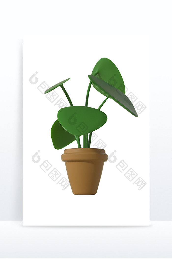 小清新植物盆栽花房花卉绿植图片图片