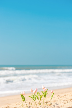 夏天海边沙滩夏季旅行