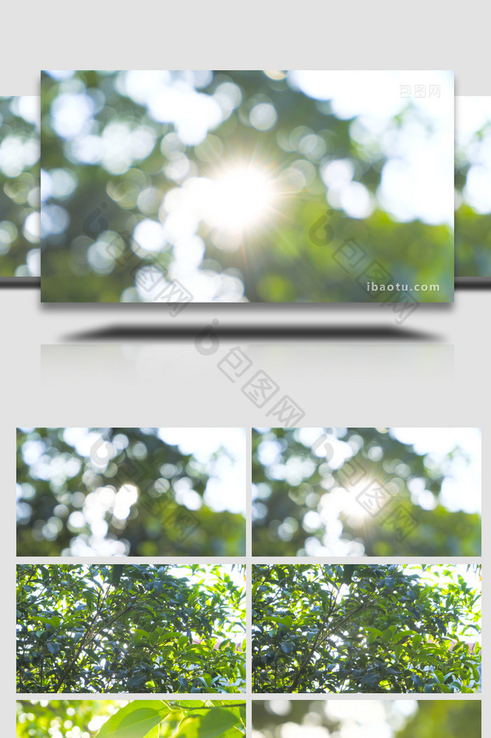 自然写意夏日阳光树叶漏光树影意境4K实拍