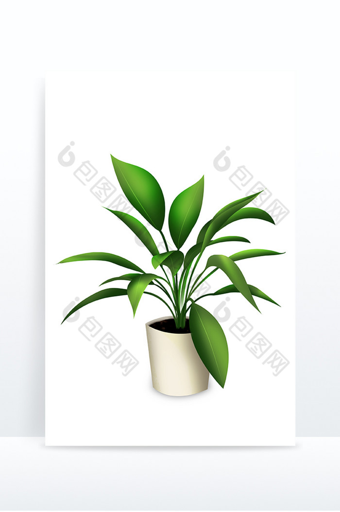绿植盆栽装饰图片图片