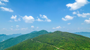 自然清新夏季绿色山林风光4k延时