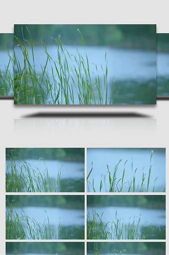阳光下波光粼粼湖水特写实拍图片
