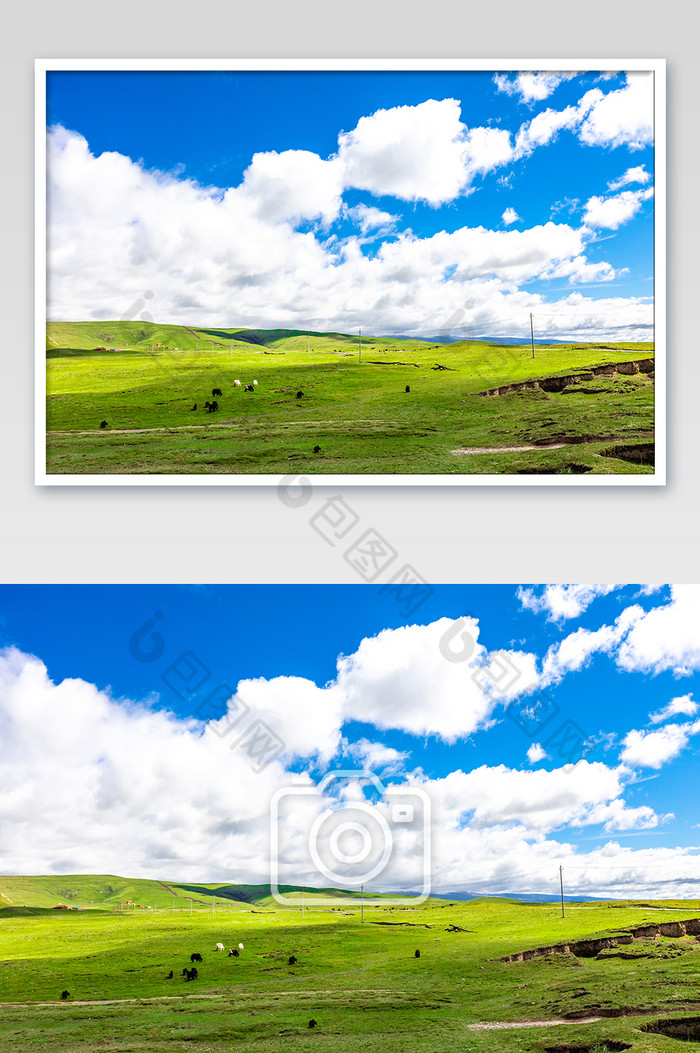 夏天时青海的草原的蓝天风光图片图片