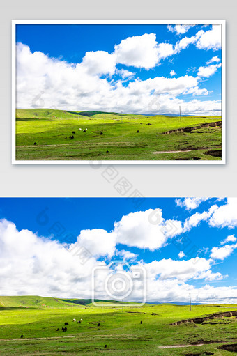 夏天时青海大气唯美的草原的蓝天风光图片
