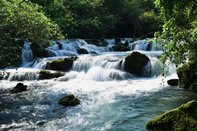 夏天贵州的树林里流淌小溪的片