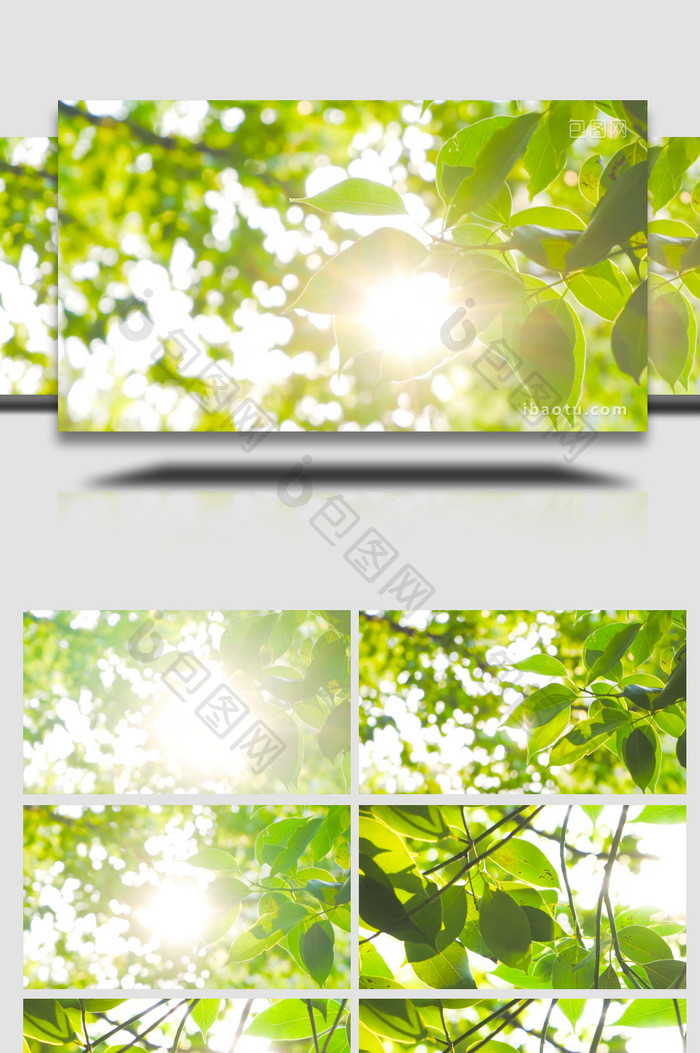 自然写意夏日阳光穿过树叶逆光树林4K实拍