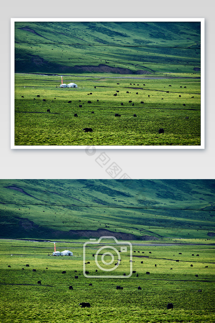 大西北下的高山下的草地摄影图片图片