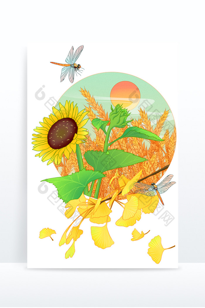 二十四节气立秋秋天麦子向日葵银杏蜻蜓图片图片