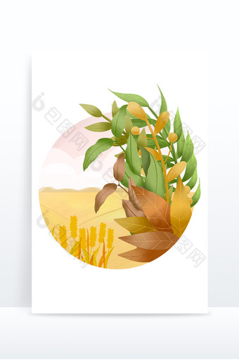 秋分元素麦田稻谷植物叶子节气图片