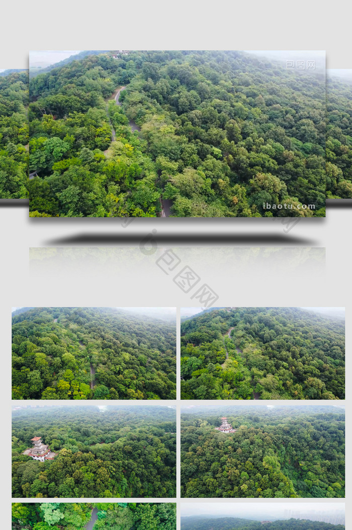 自然风景森林公园森林风景树木4K航拍