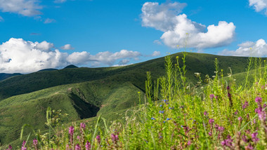 自然大气川西高原花草山脉风光延时