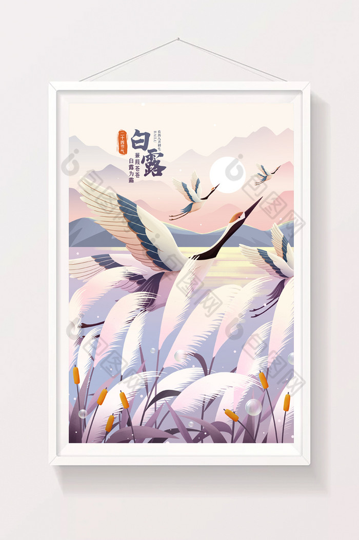 二十四节气白露芦苇白鹭插画图片图片
