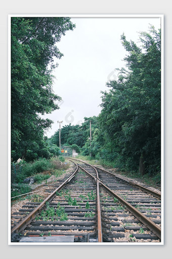 浪漫唯美的废旧铁轨图片