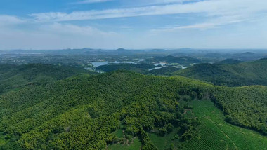 震撼森林山川自然风景4k航拍