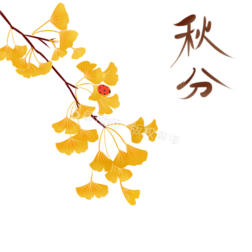 杏叶图片-杏叶素材免费下载-包图网