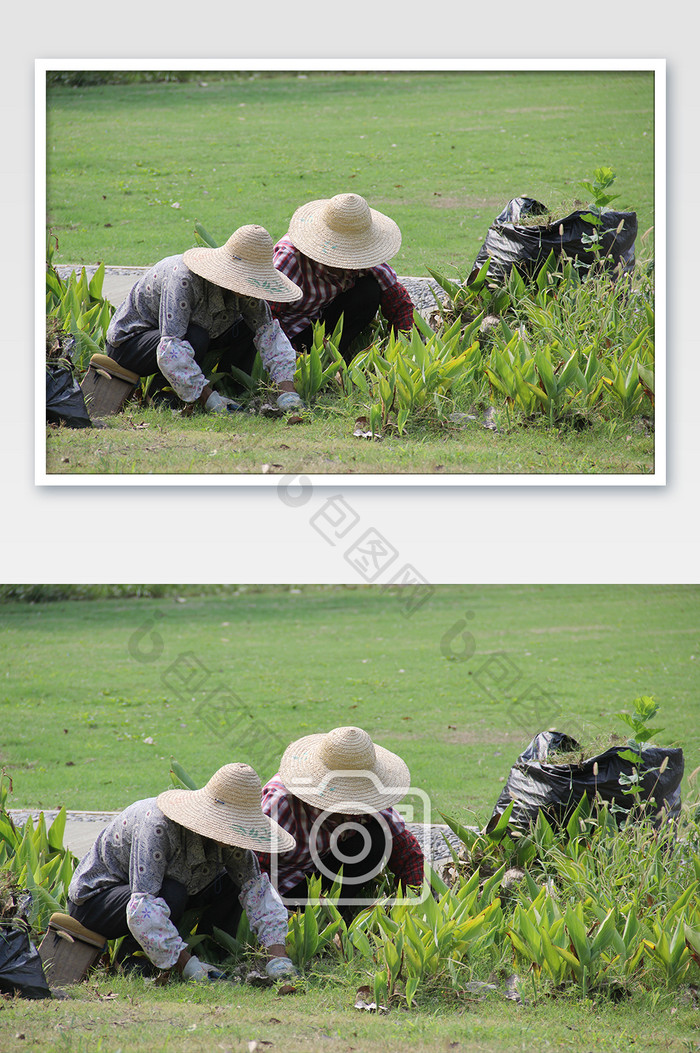 绿化和市容管理绿化补植园丁种植