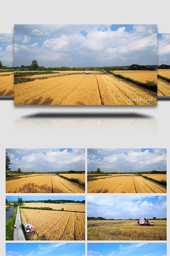农业秋收机械收割麦子4K航拍图片