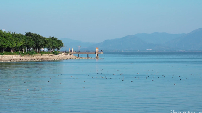 大气城市公园唯美风景空镜实拍