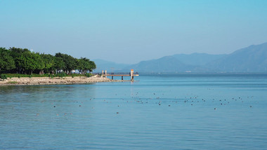 大气城市公园唯美风景空镜实拍